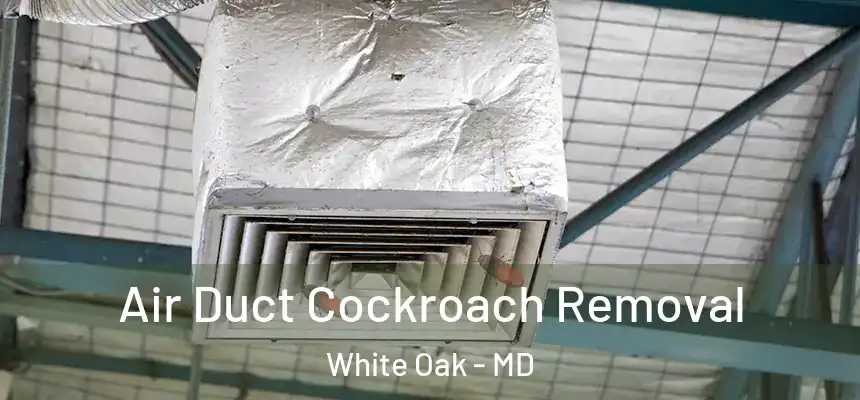 Air Duct Cockroach Removal White Oak - MD