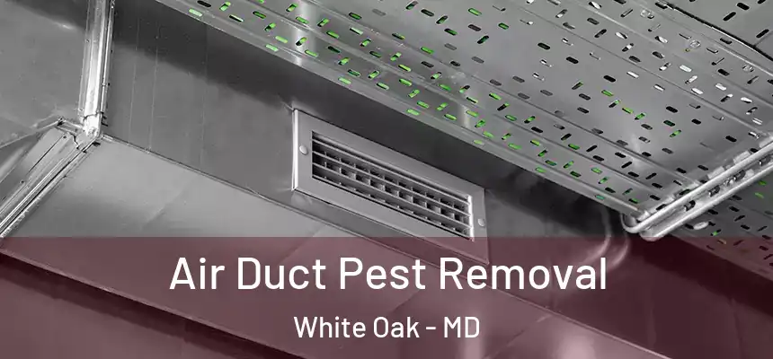  Air Duct Pest Removal White Oak - MD