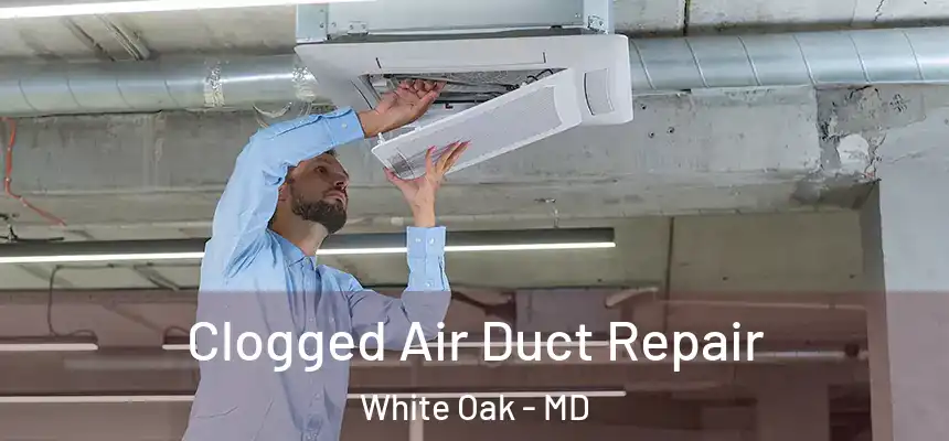  Clogged Air Duct Repair White Oak - MD