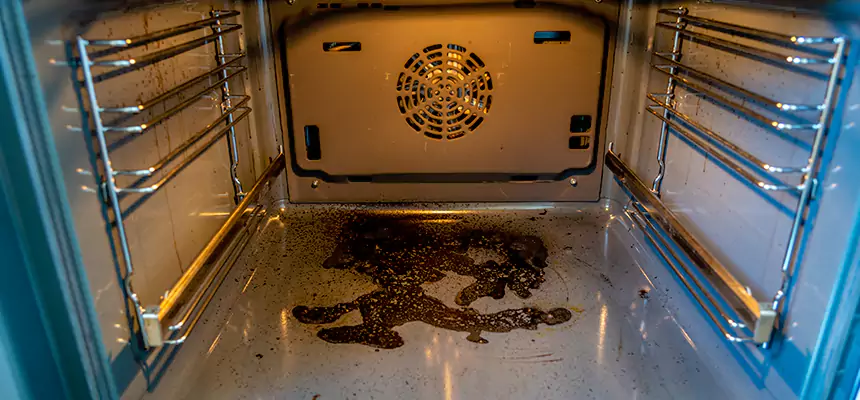 Our Dryer Vent Mold Cleaning Services in White Oak, MD