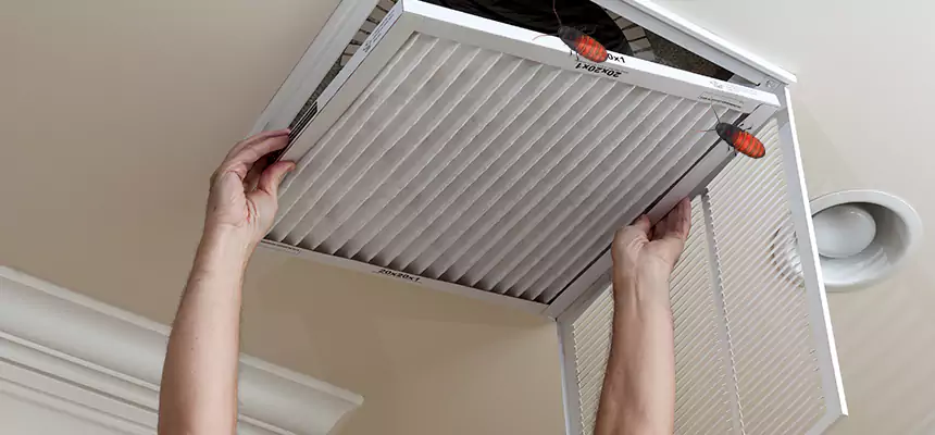 Our Insect Removal from Air Ducts Services in White Oak, MD