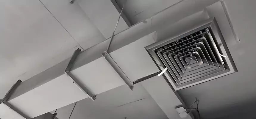 Our Rodent Droppings In Vents Services in White Oak, MD