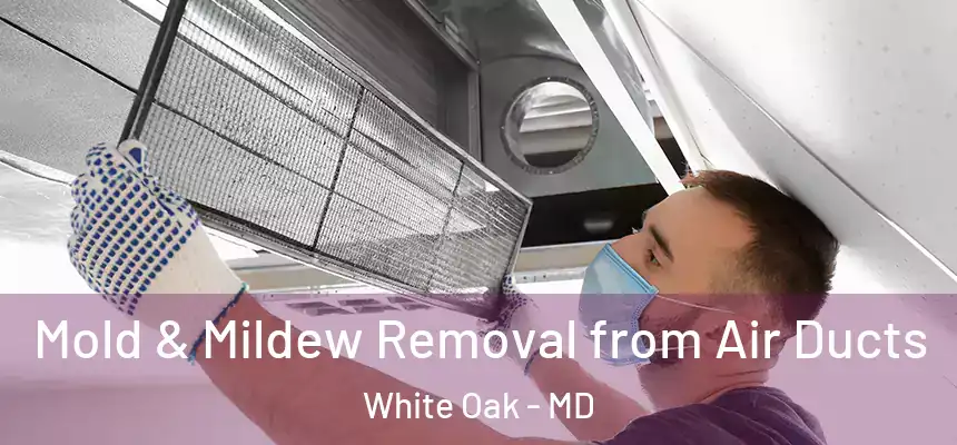  Mold & Mildew Removal from Air Ducts White Oak - MD