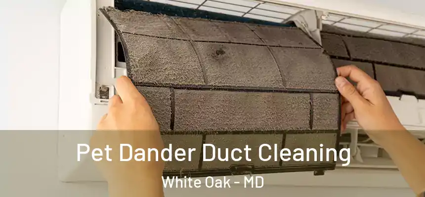 Pet Dander Duct Cleaning White Oak - MD