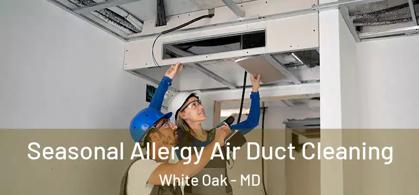  Seasonal Allergy Air Duct Cleaning White Oak - MD