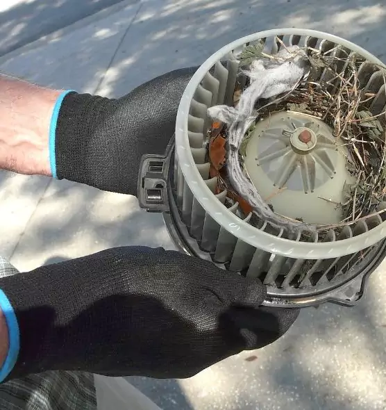 About Air Duct Rat Removal in White Oak, MD