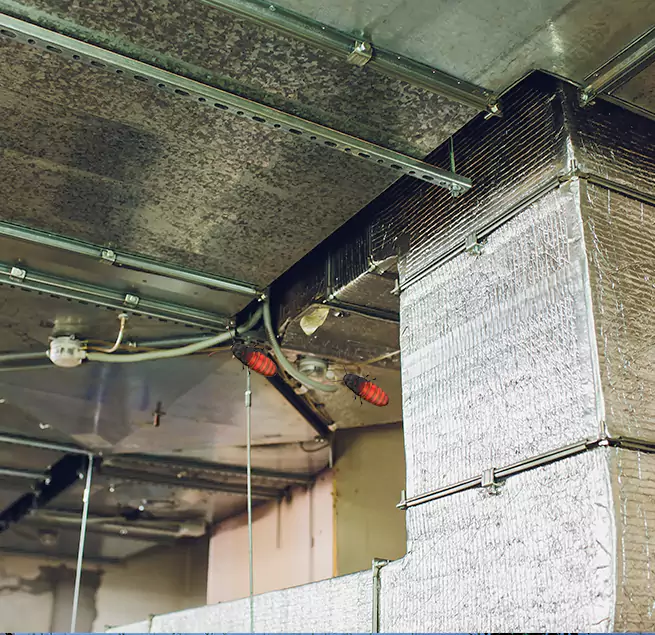 Why Homeowners & Businesses Trust Us in White Oak, MD?