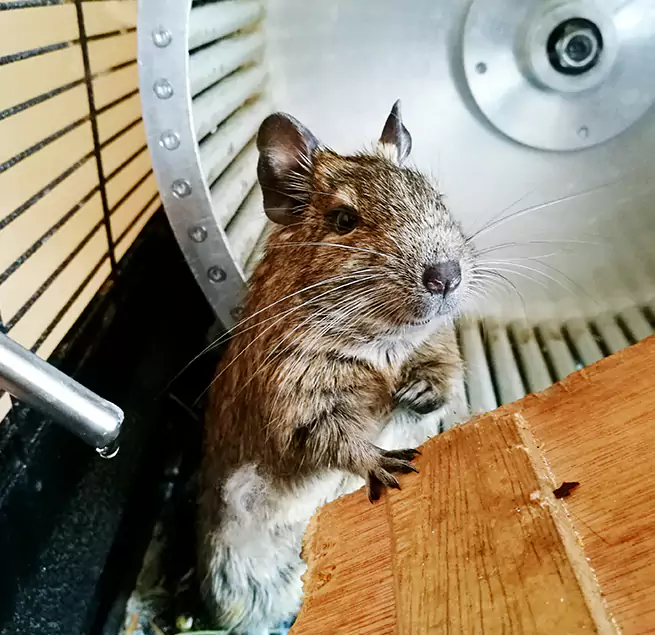 Why Homeowners & Businesses Trust Us White Oak, MD