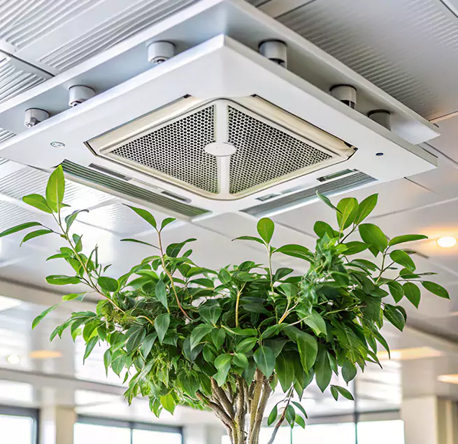 Why Homeowners & Businesses Trust Us in White Oak, MD