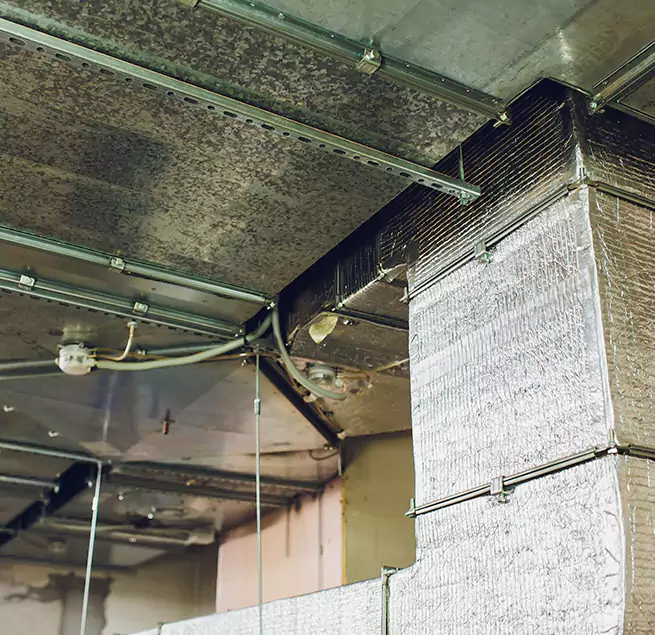 Why Homeowners & Businesses Trust Us in White Oak, MD?