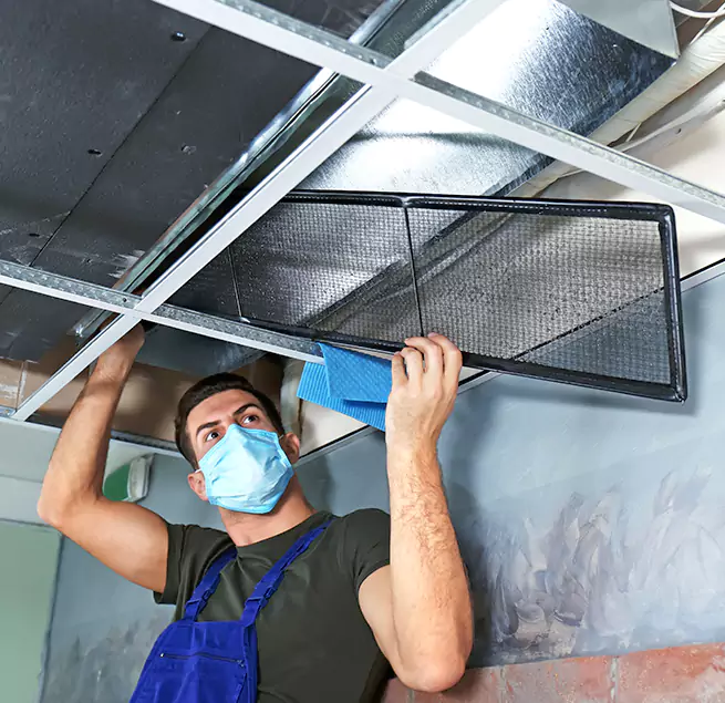 Why Homeowners & Businesses Trust Us in White Oak, MD?